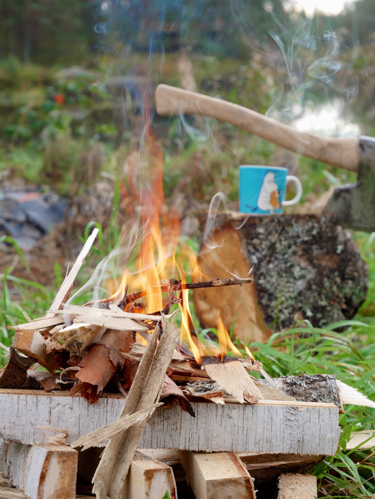 Folkehøgskole båltur