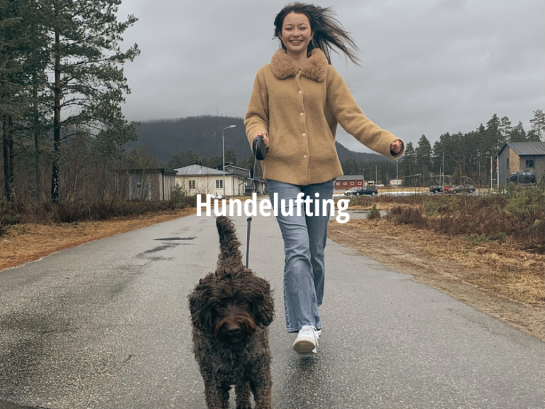 Valgfag hundelufting