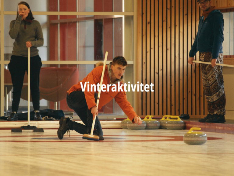 Valgfag vinteraktivitet