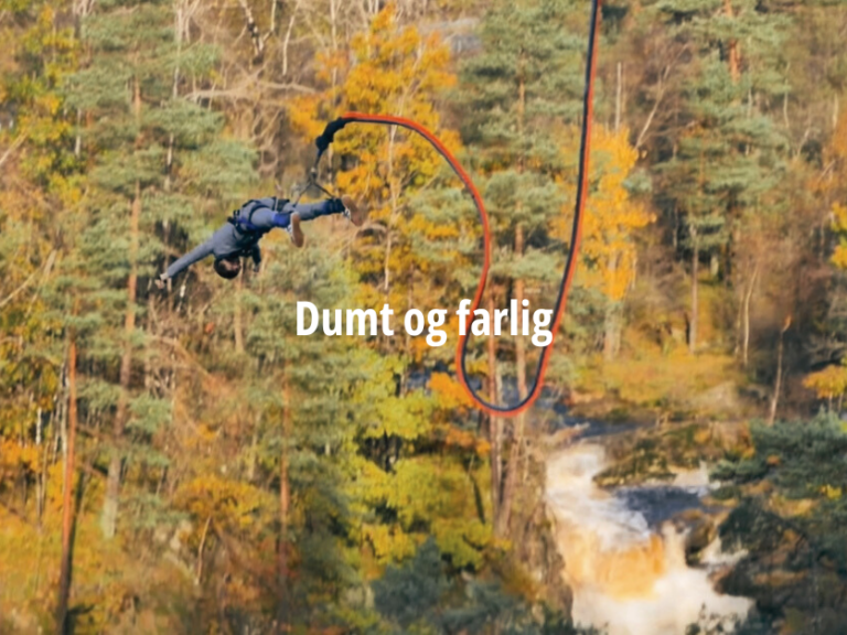 Valgfag Dumt og Farlig
