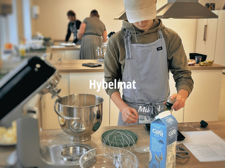 Valgfag hybelmat