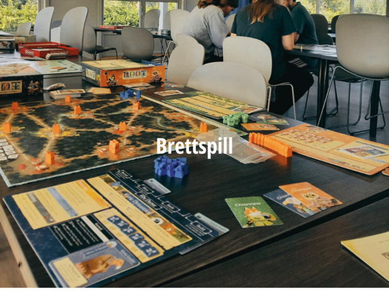 Valgfag Brettspill