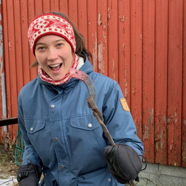 Design uten navn - 2023-12-14T012947.424