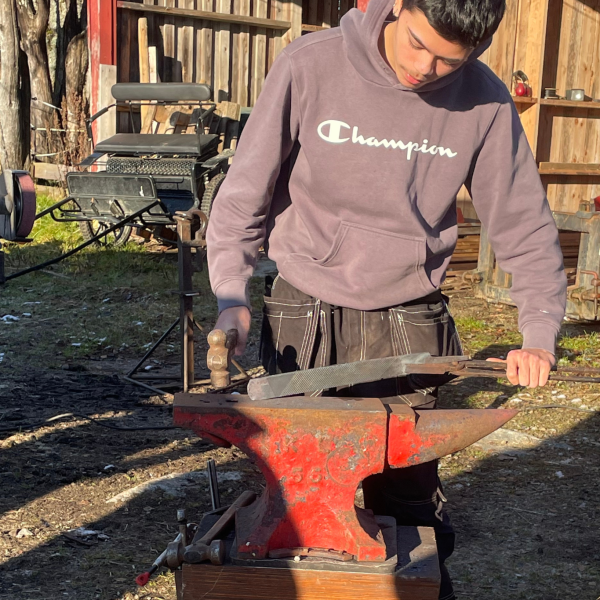 Design uten navn (63)