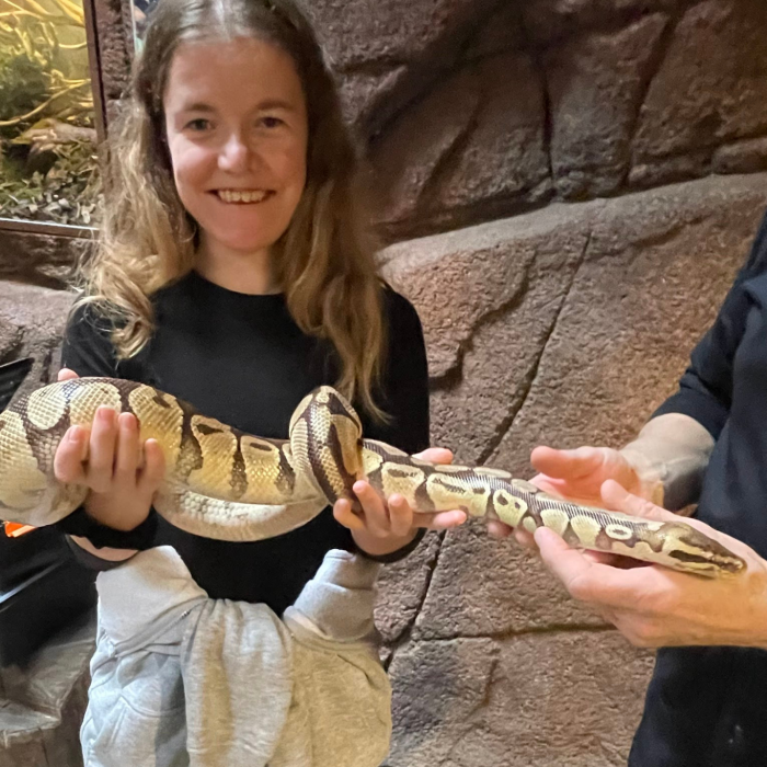 Kopi av Skolebildeformat