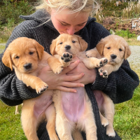 Linjebilde teaser - 780 x 780 px (2)