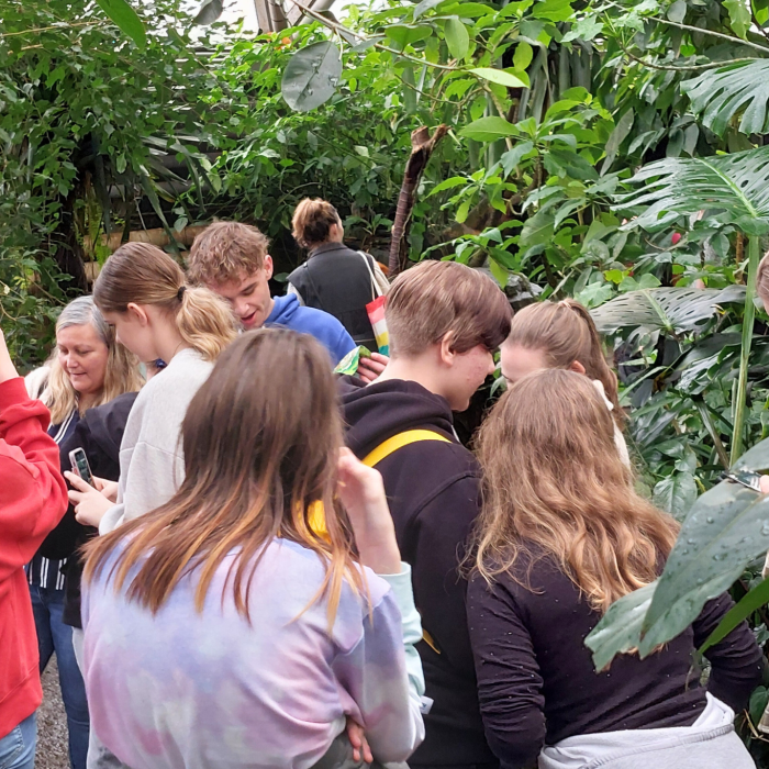 Nettside format (66)