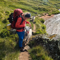 Reiseliv snorkling (4)